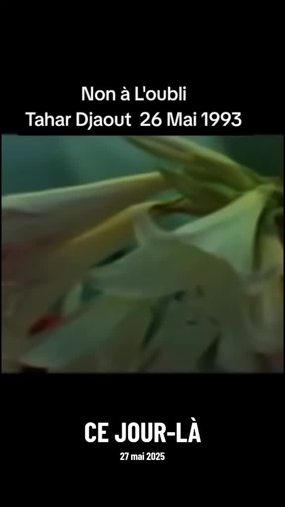 @Vadozack