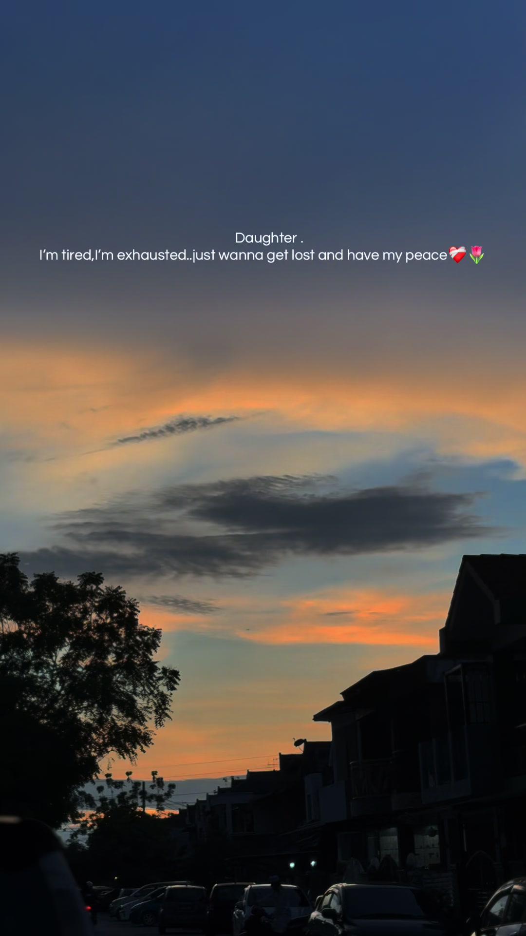 @ѕυηѕнιηє✨