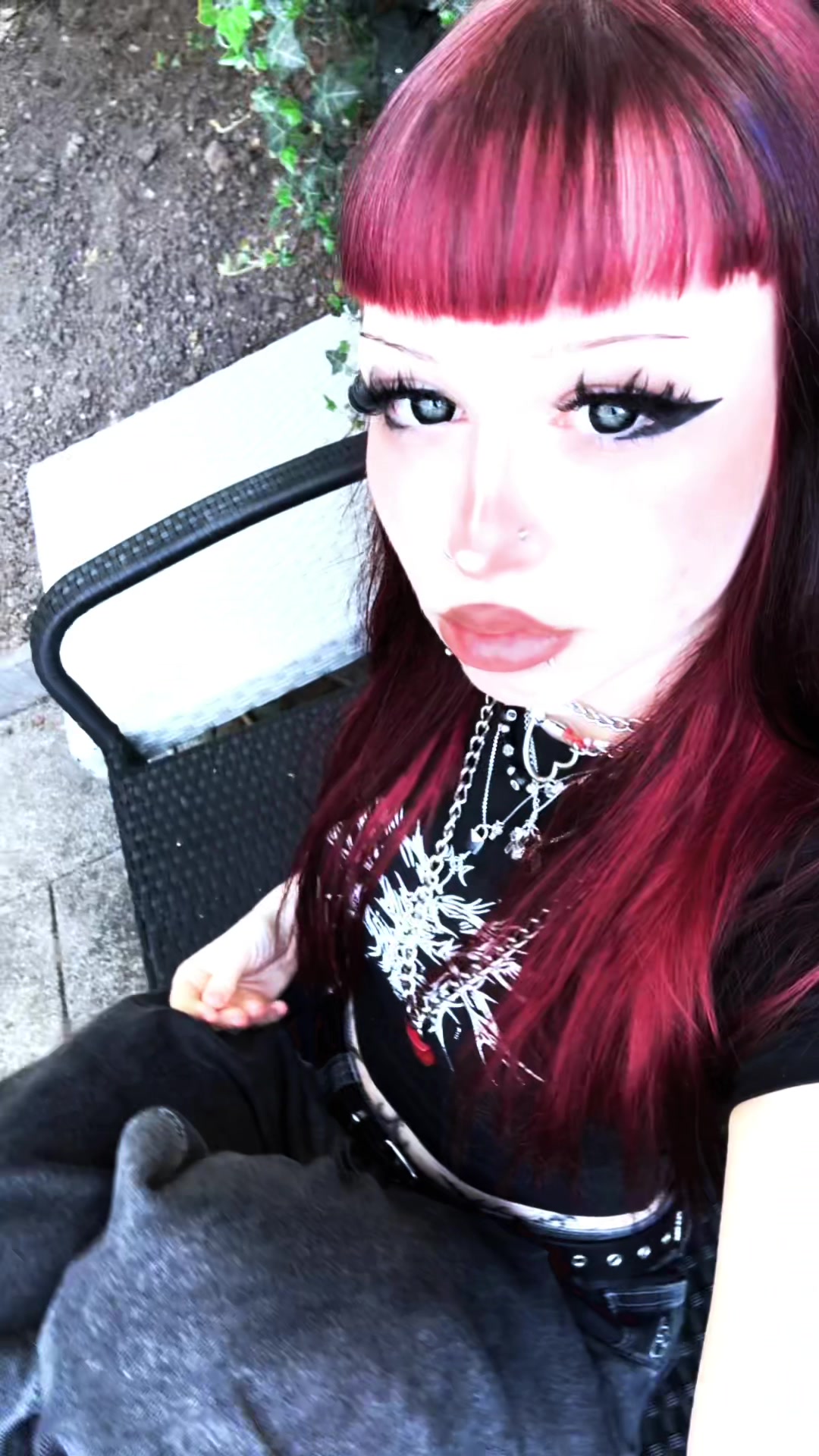 @≽^•༚•🎀≼