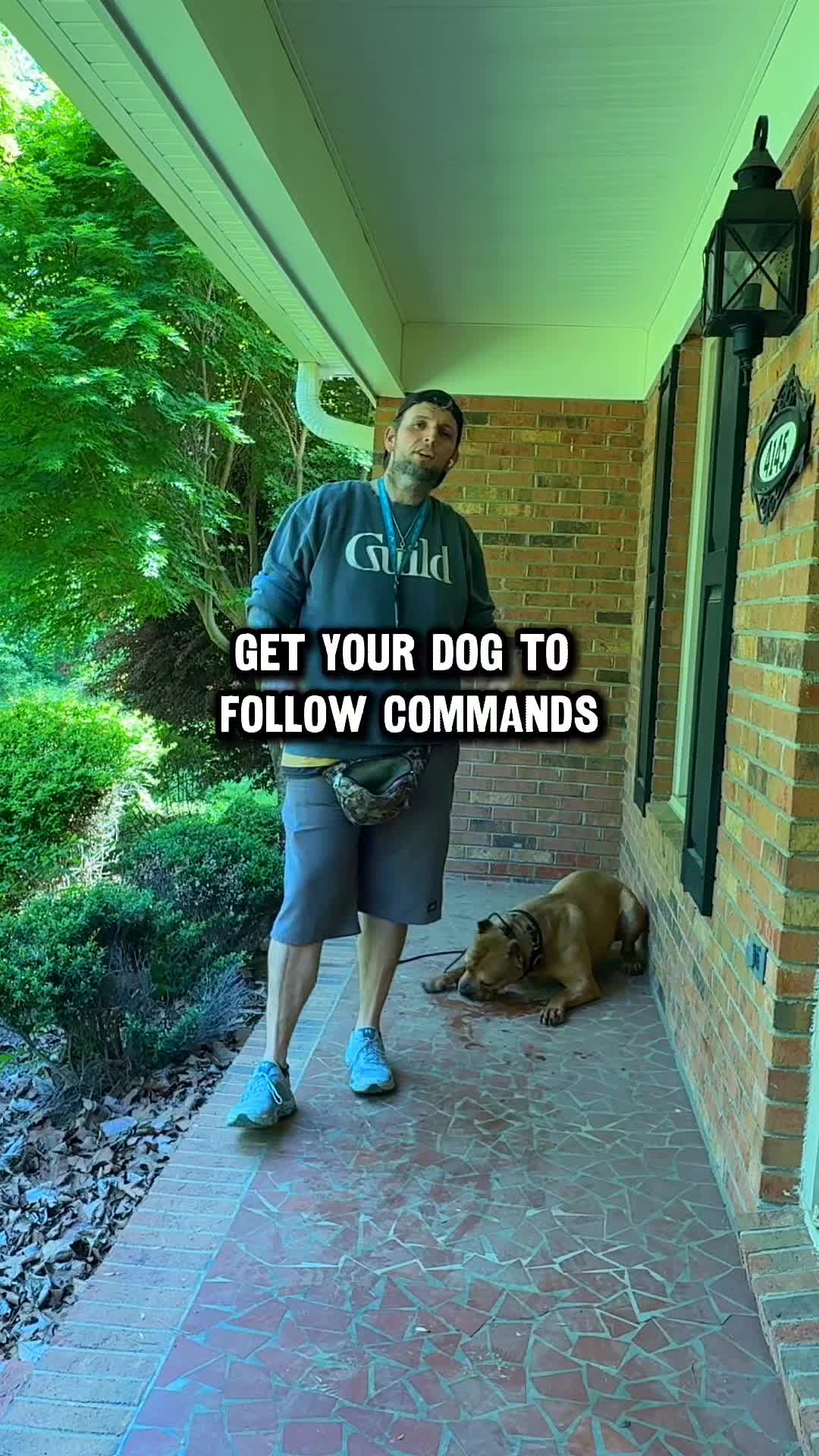 @Lost Boys K9 Academy