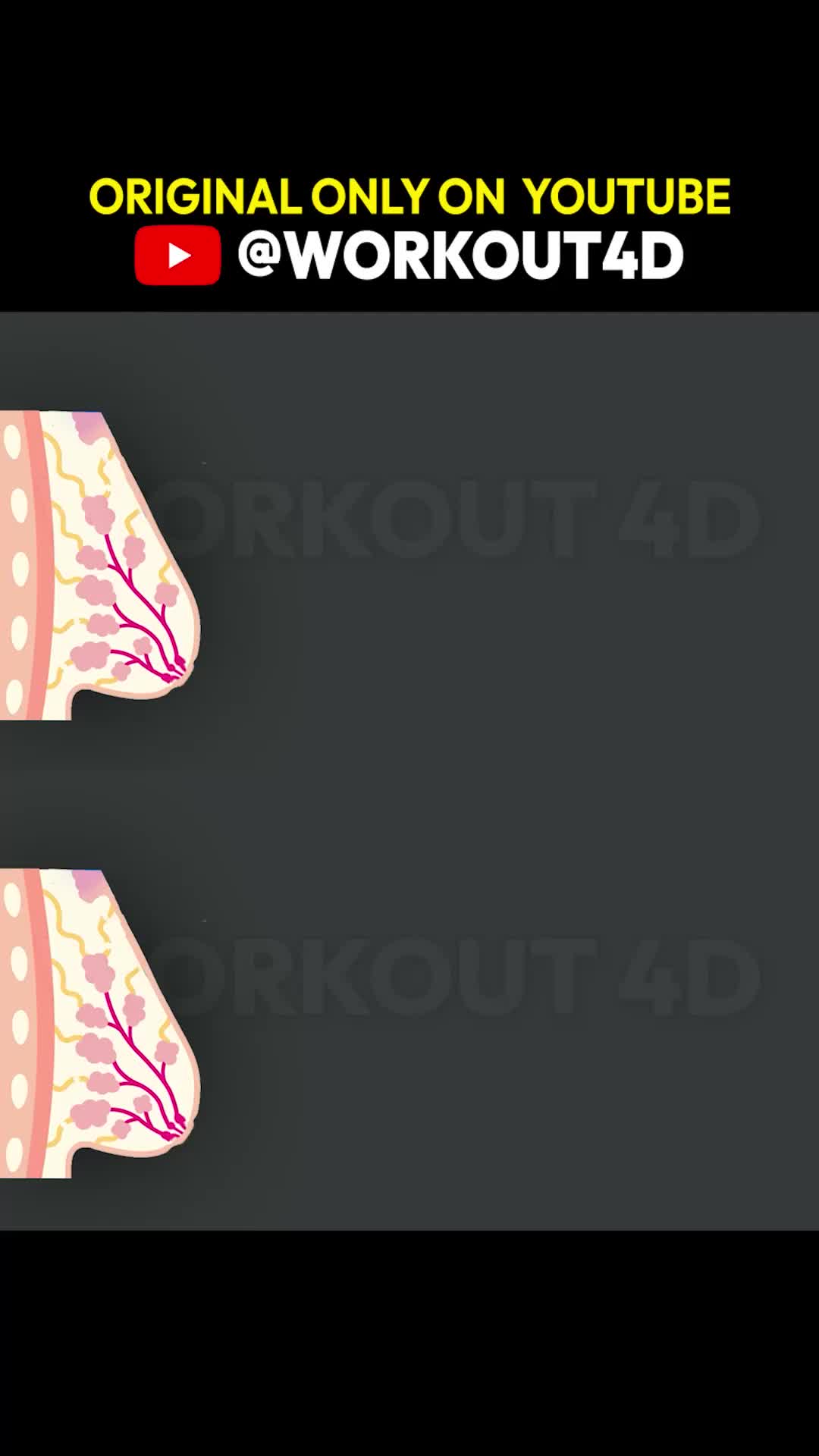 @Workout 4D Official