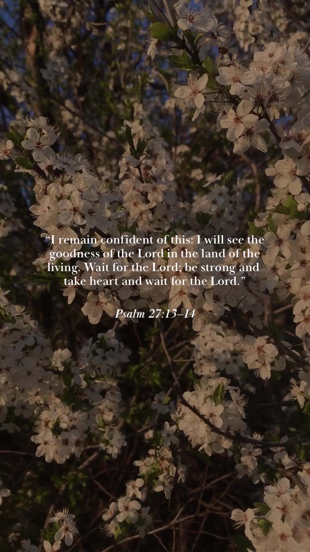 @The Daily Grace Co