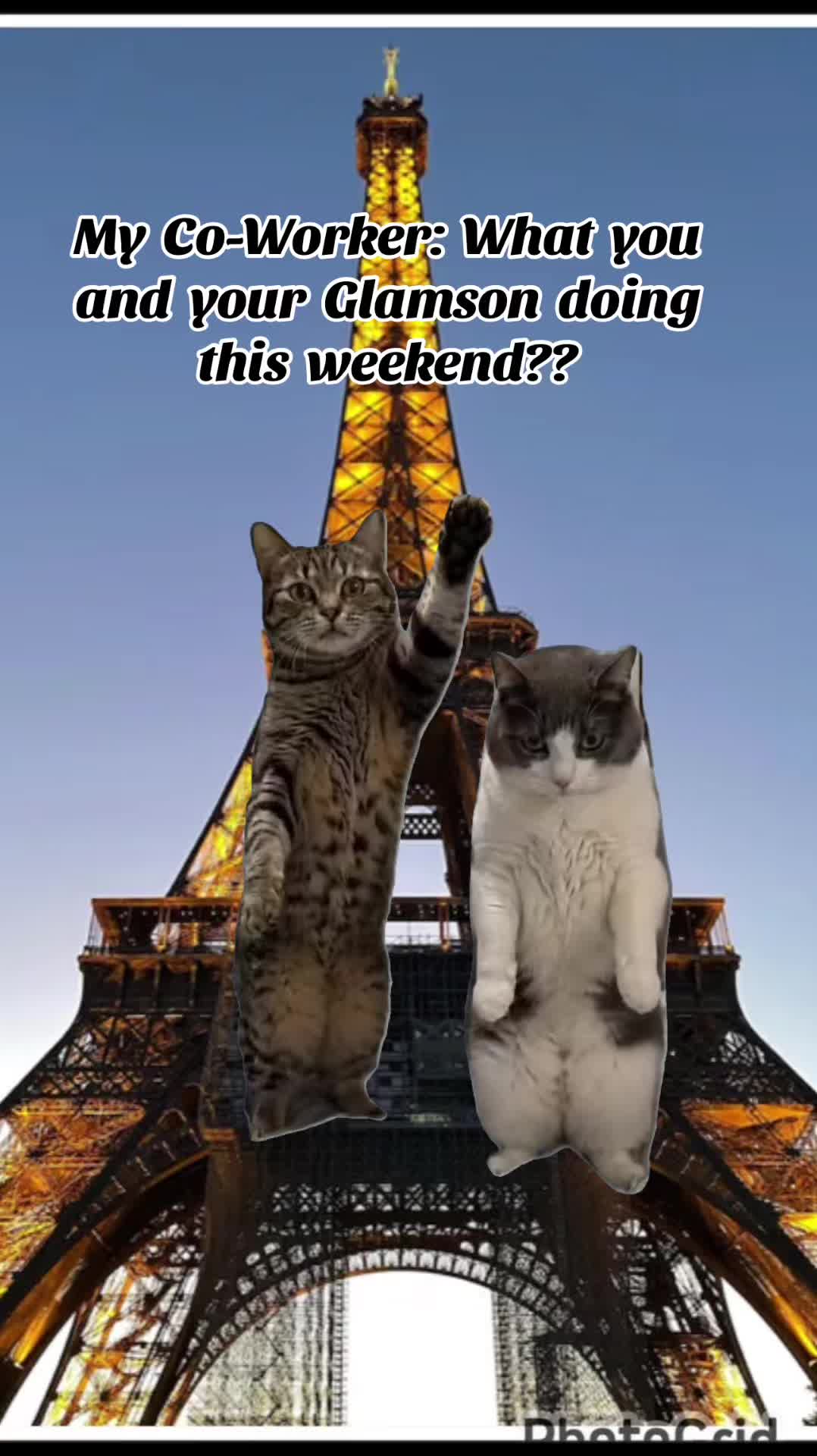 @ShaPOOH