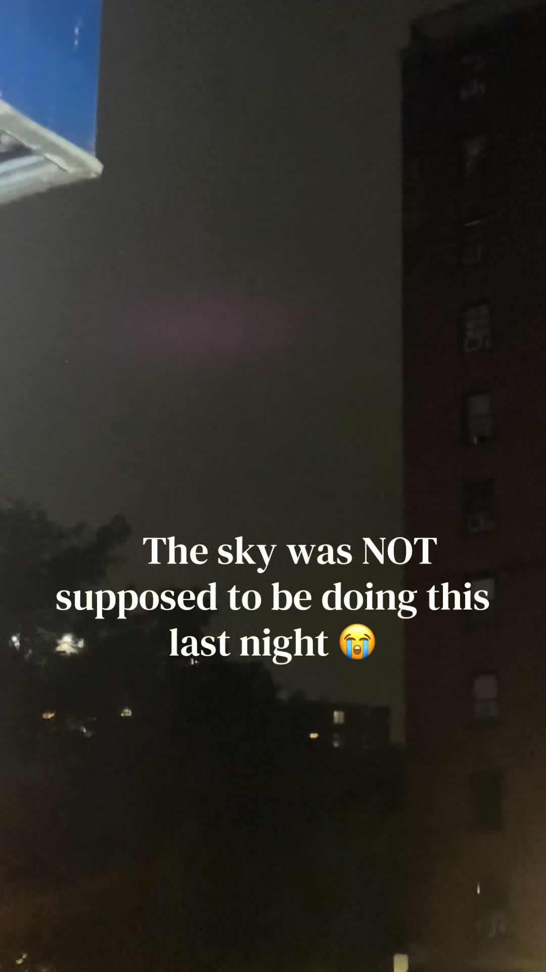 @Ari 🦋