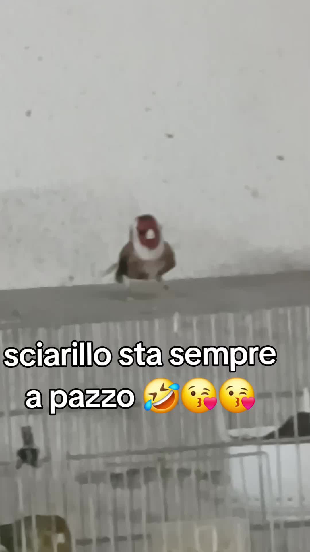 @Leonardo Dellacorte