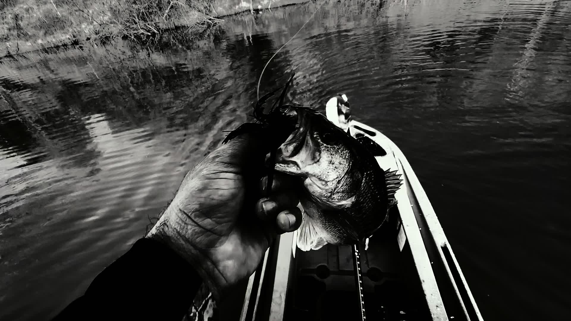 @BigBassFish
