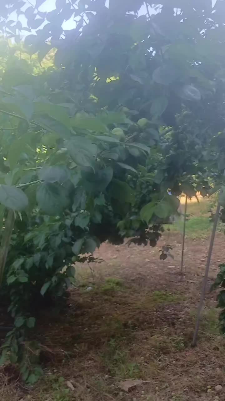 @Mai Thị Hà