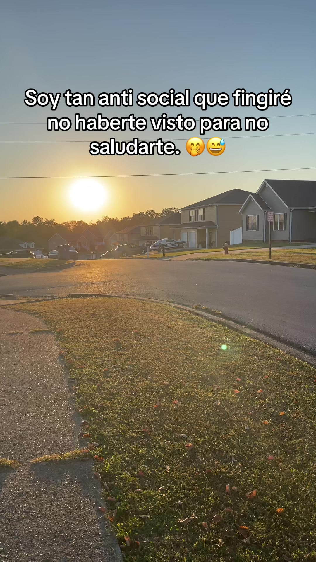 @Cinthya Sambrano