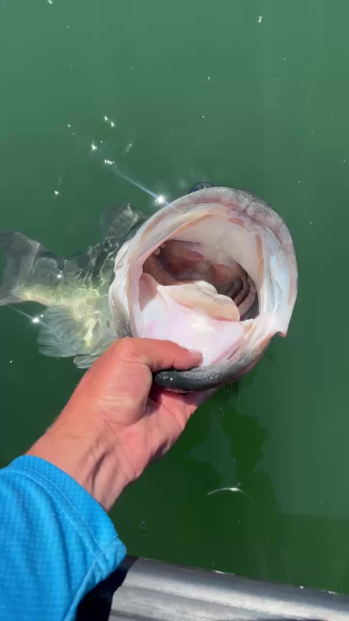 @braydenstokerfishing