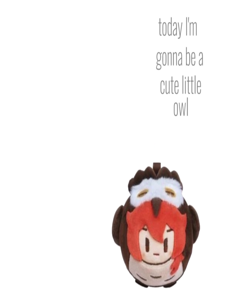 @angie