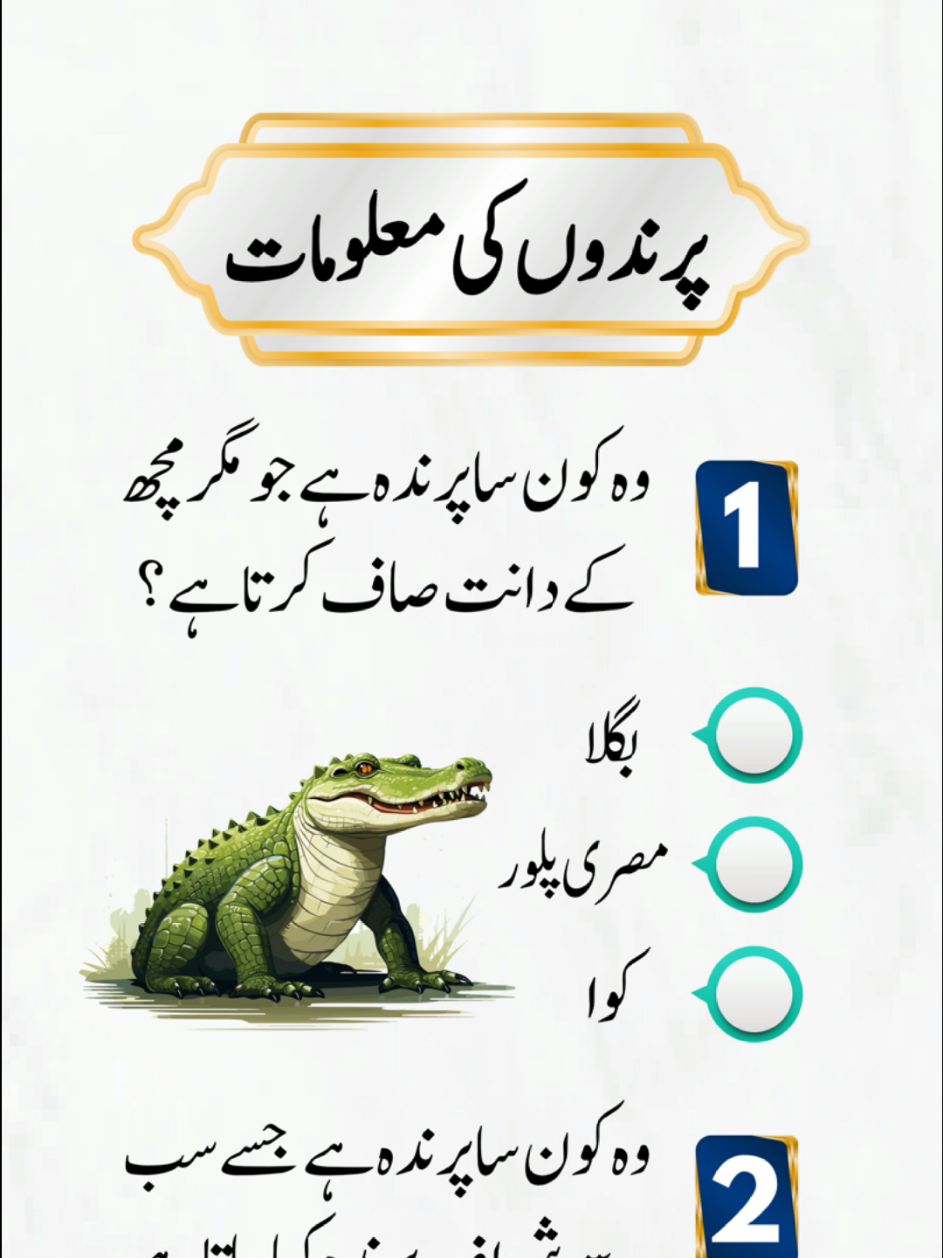 @EMAN QUIZ