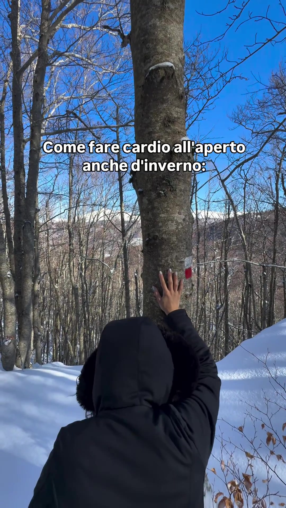 @Ele