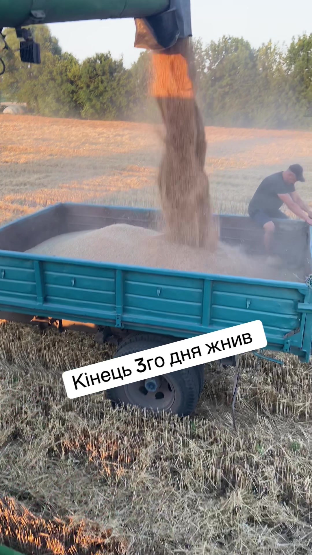@Denys Pluzhnyk