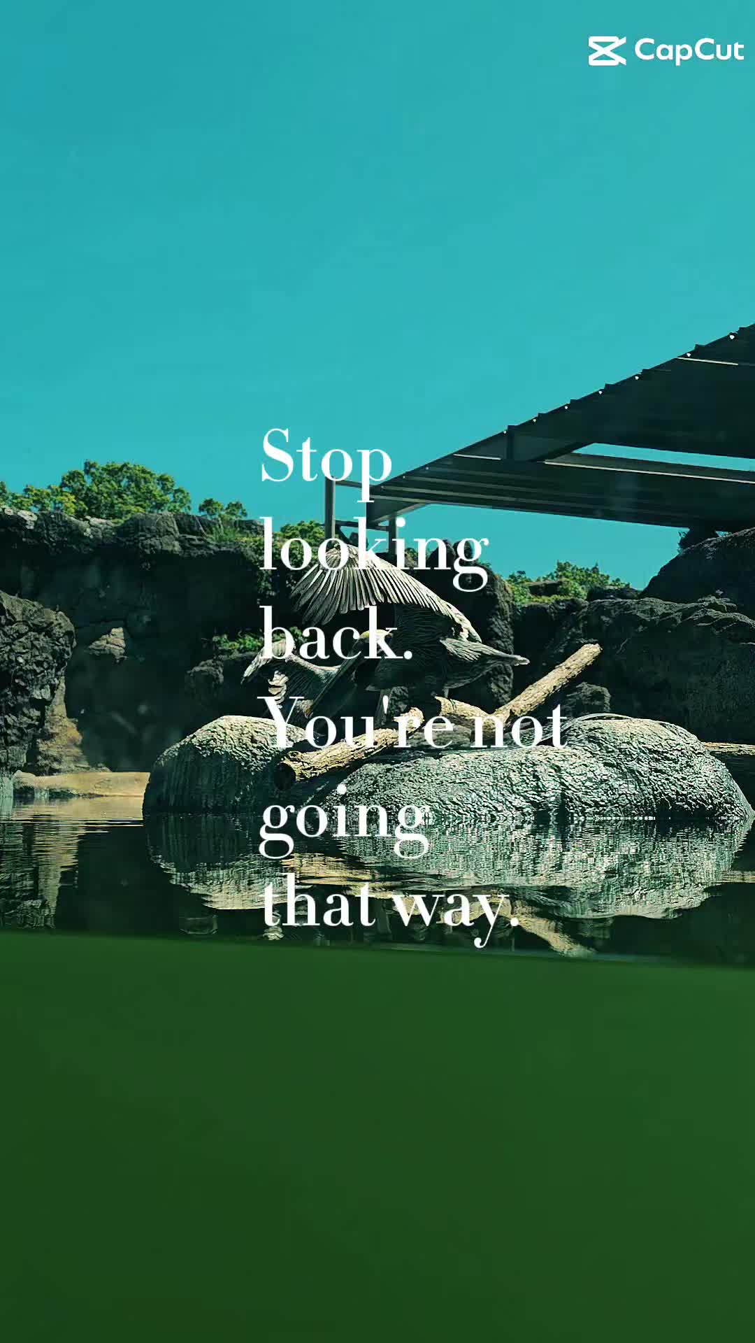@Sponge PyroFam