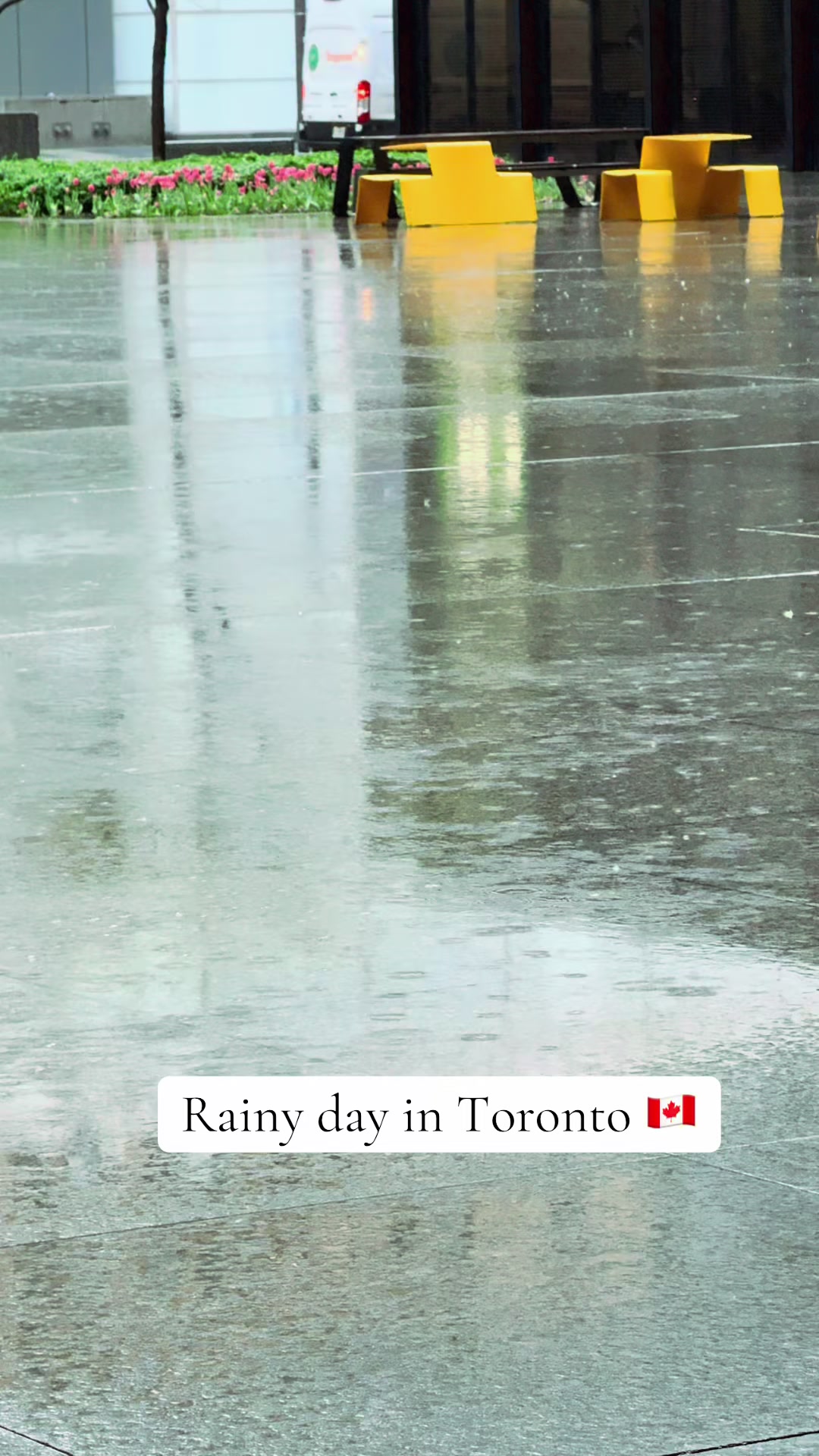 @Toronto Vibe🇨🇦