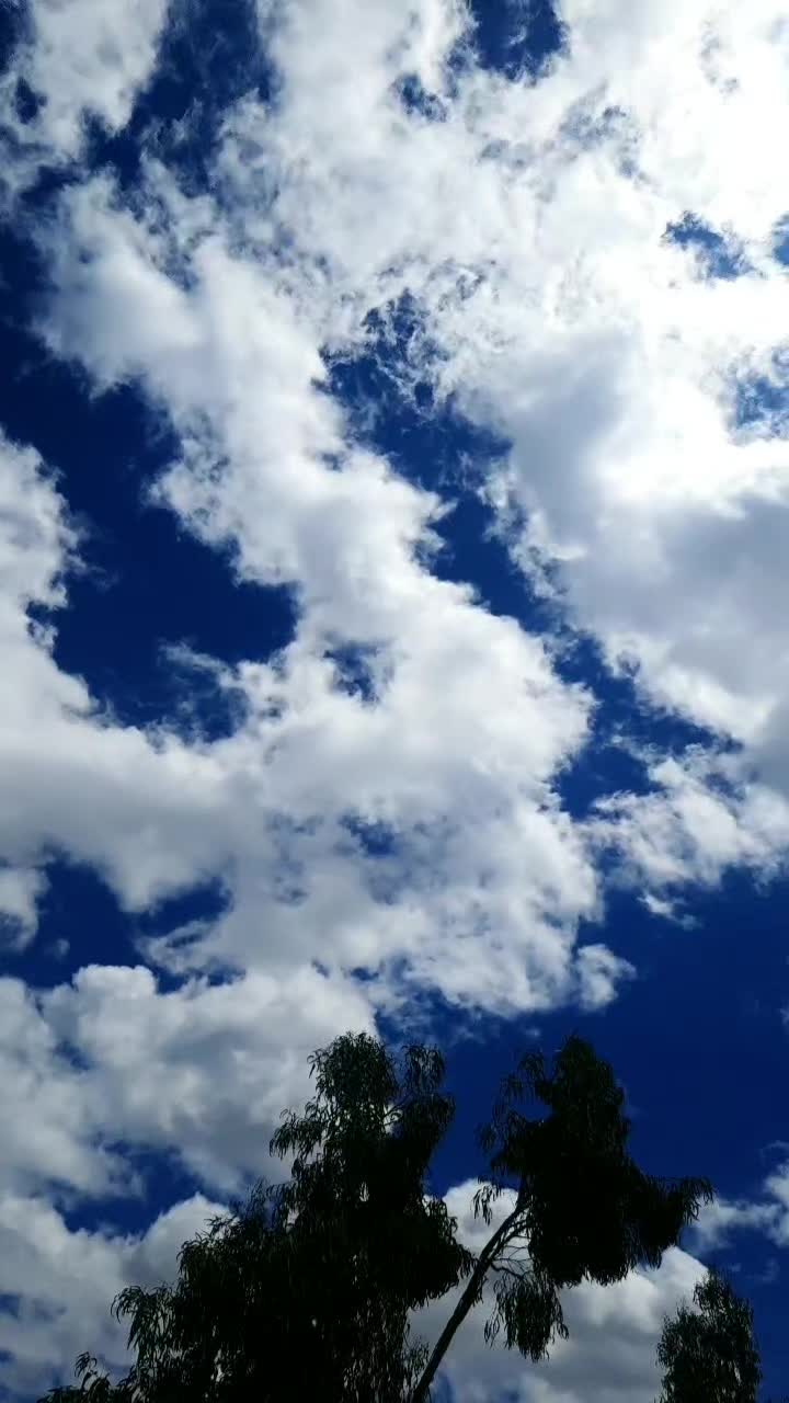 @Look de una Princesa de Dios