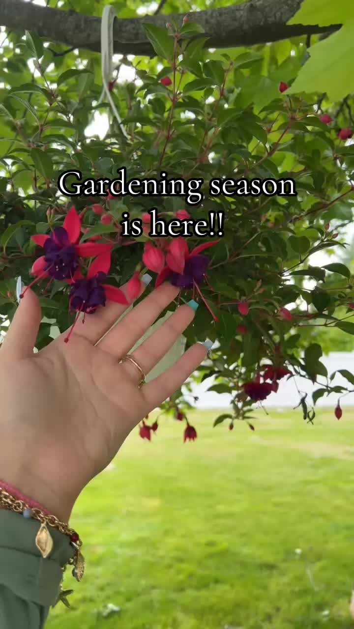 @xxmadipie
