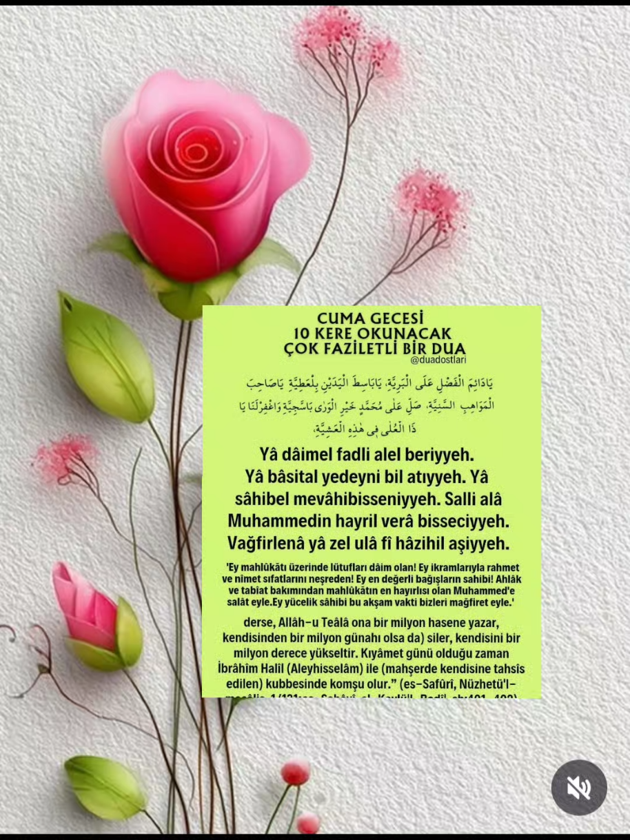 @hayat nereye gidiyor