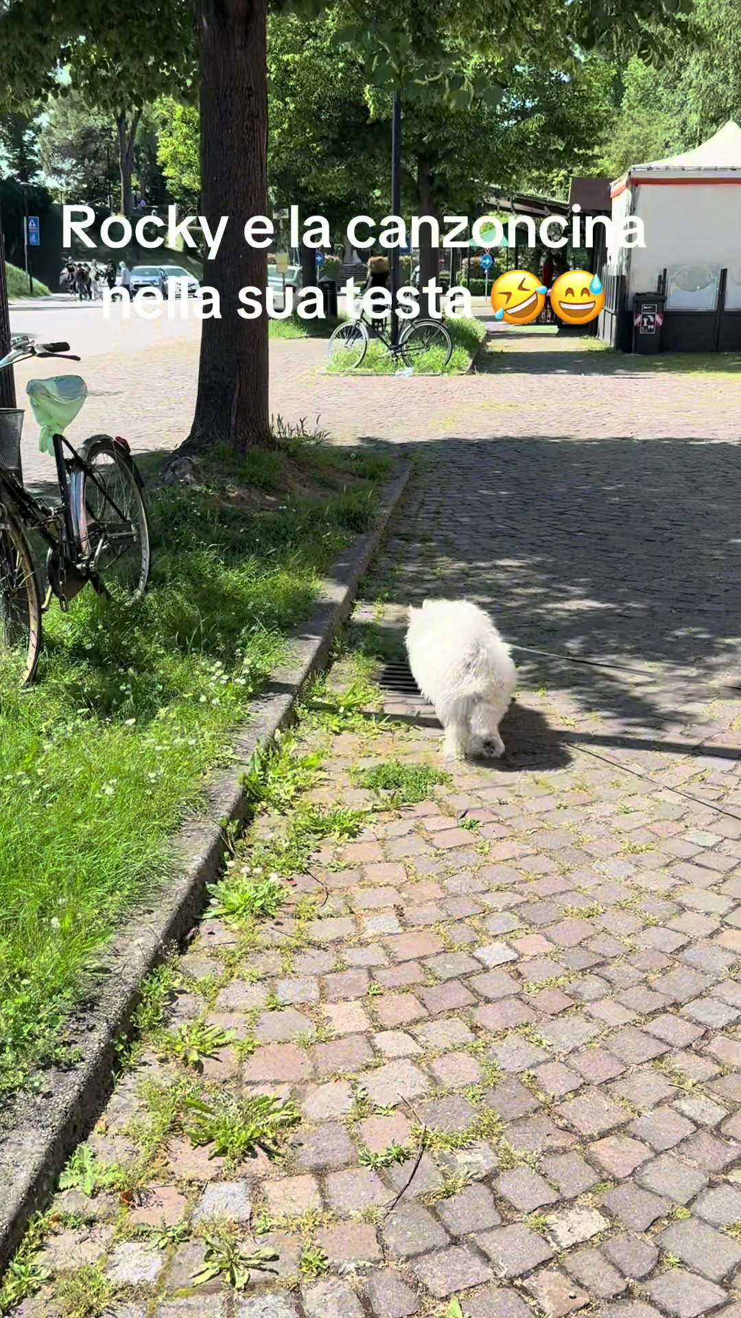 @Nora