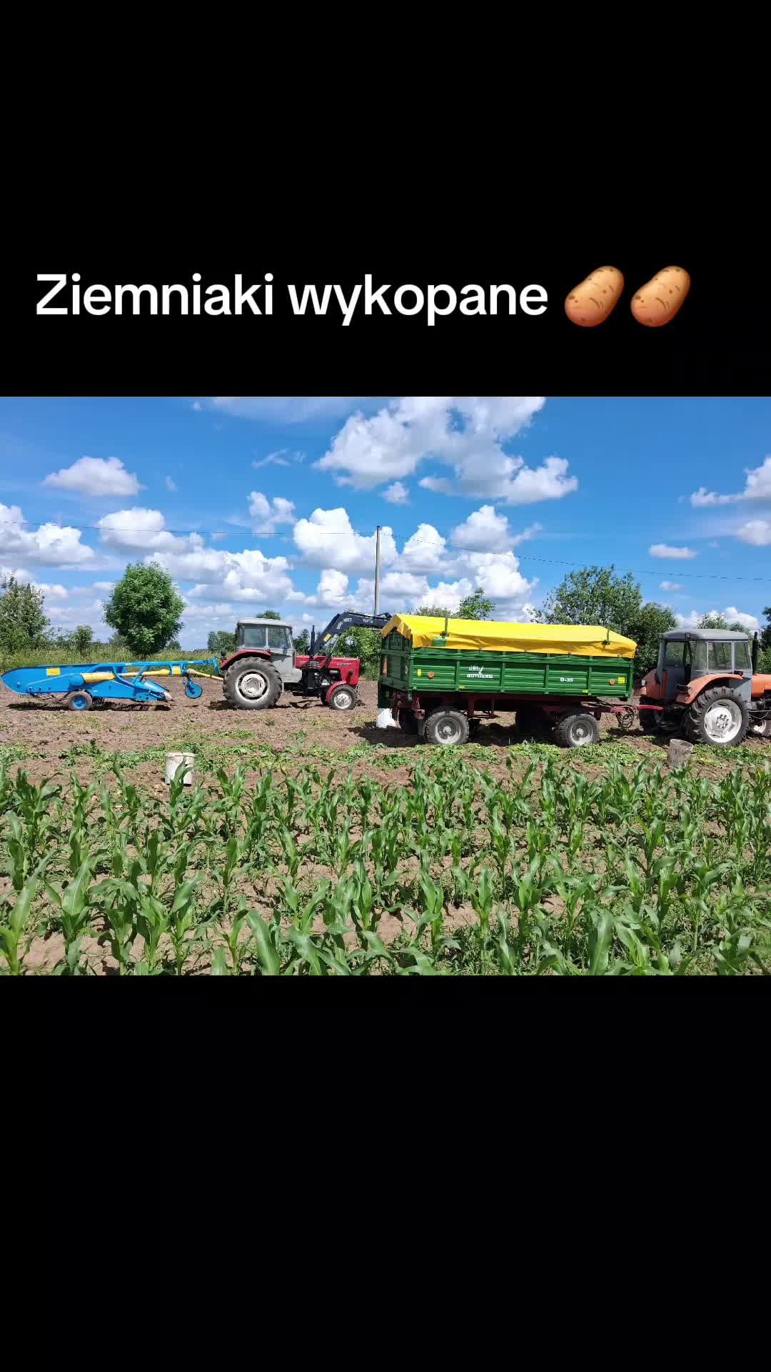 @🌻Przemek5036🌾