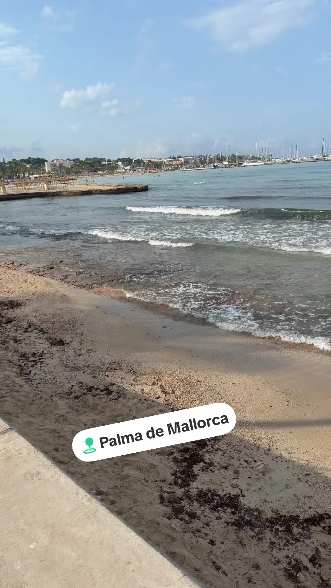 @Löwen_Mama_37