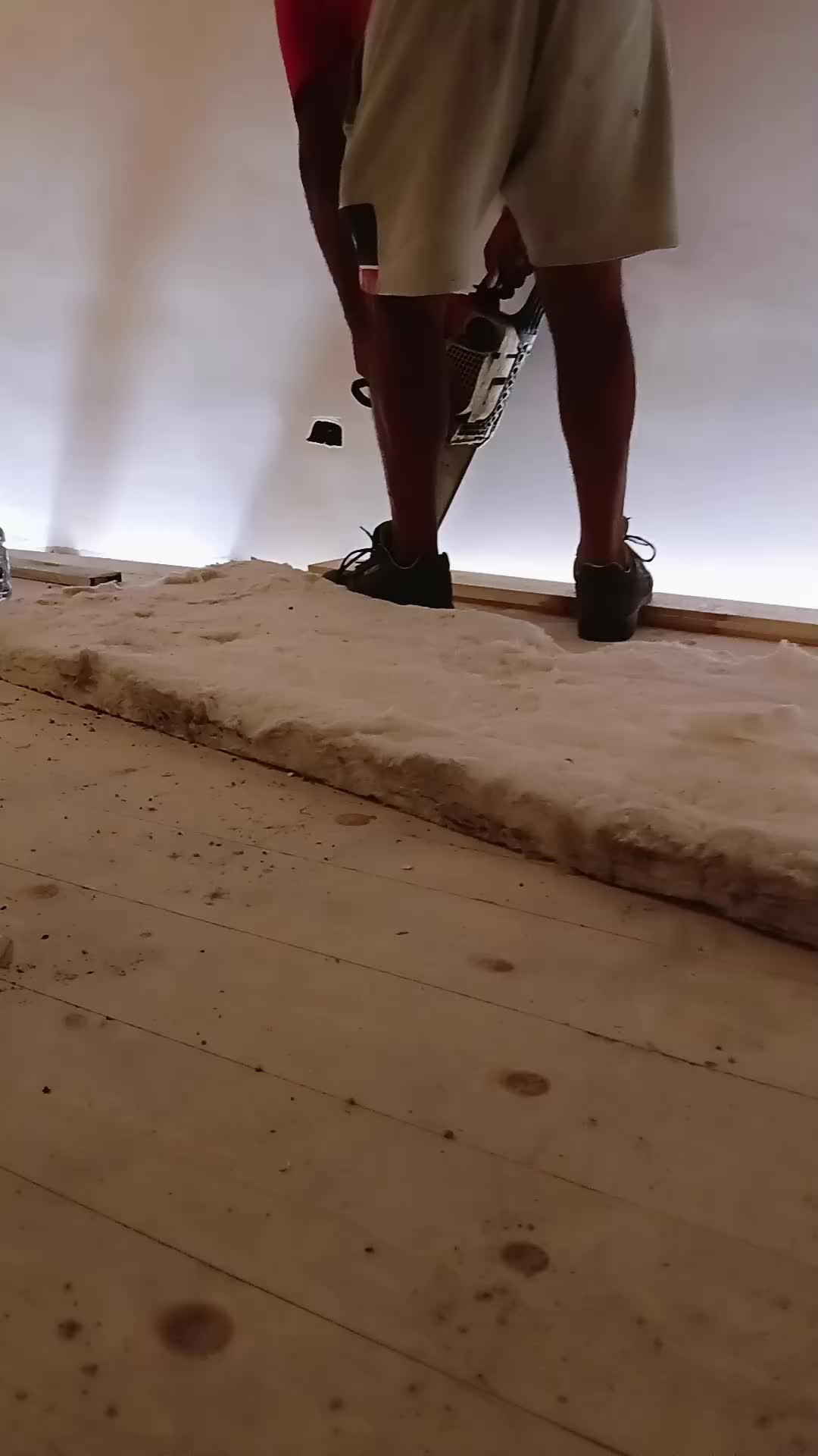 @ninolarocca691