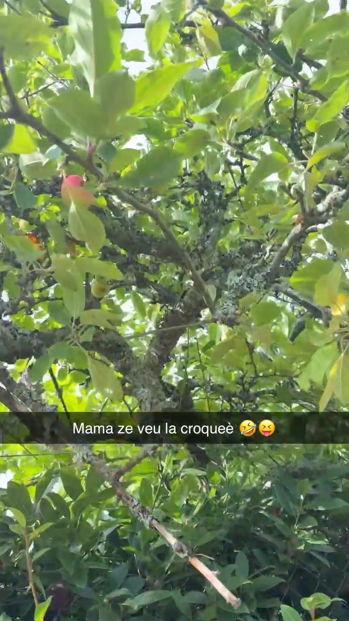 @CHAHINEZ🤍