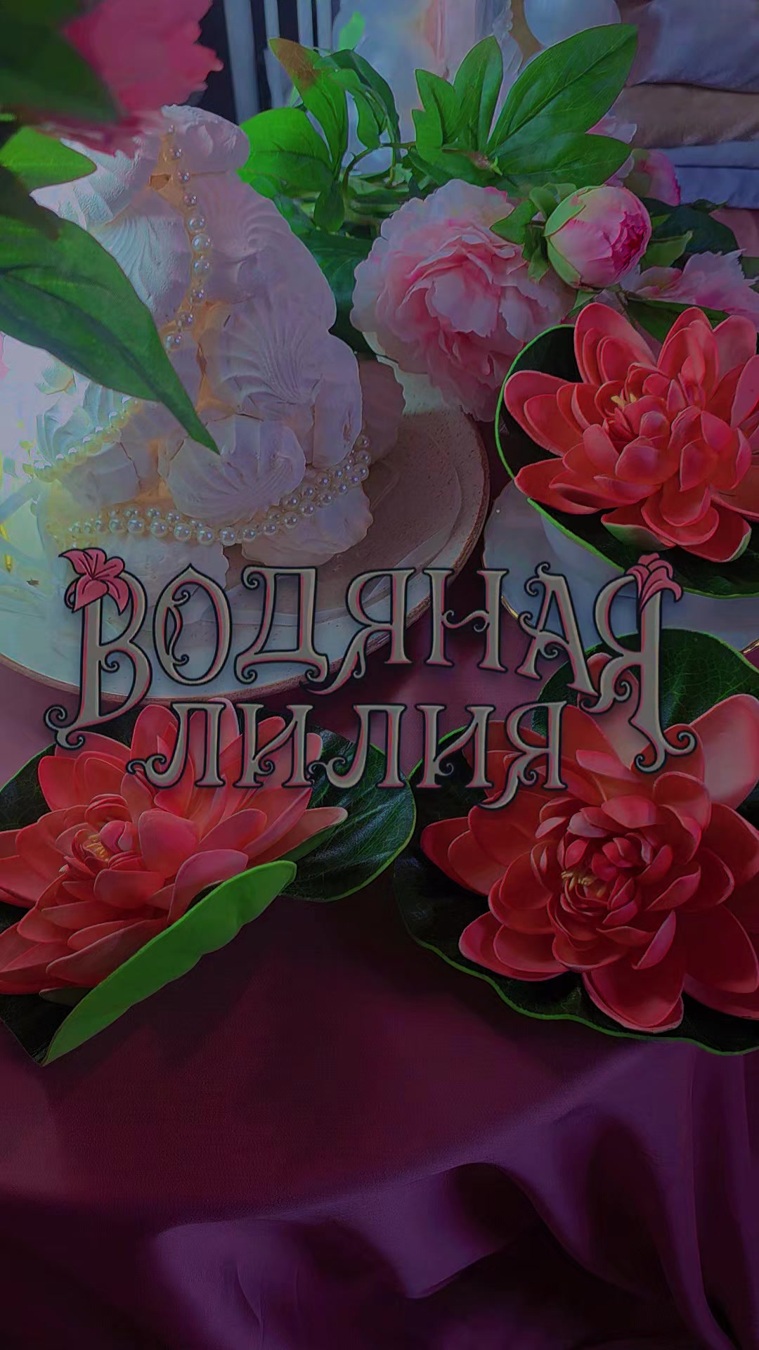 @✨Сочжулэнд✨
