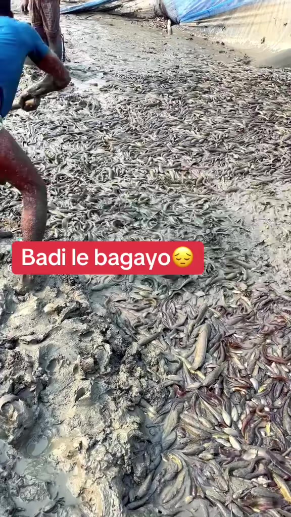 @Anu❤️