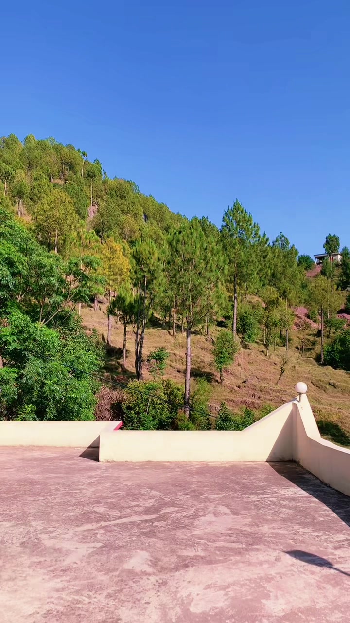 @💫MUZAMMIL 💫KASHMIRI🌟💫BK🥰