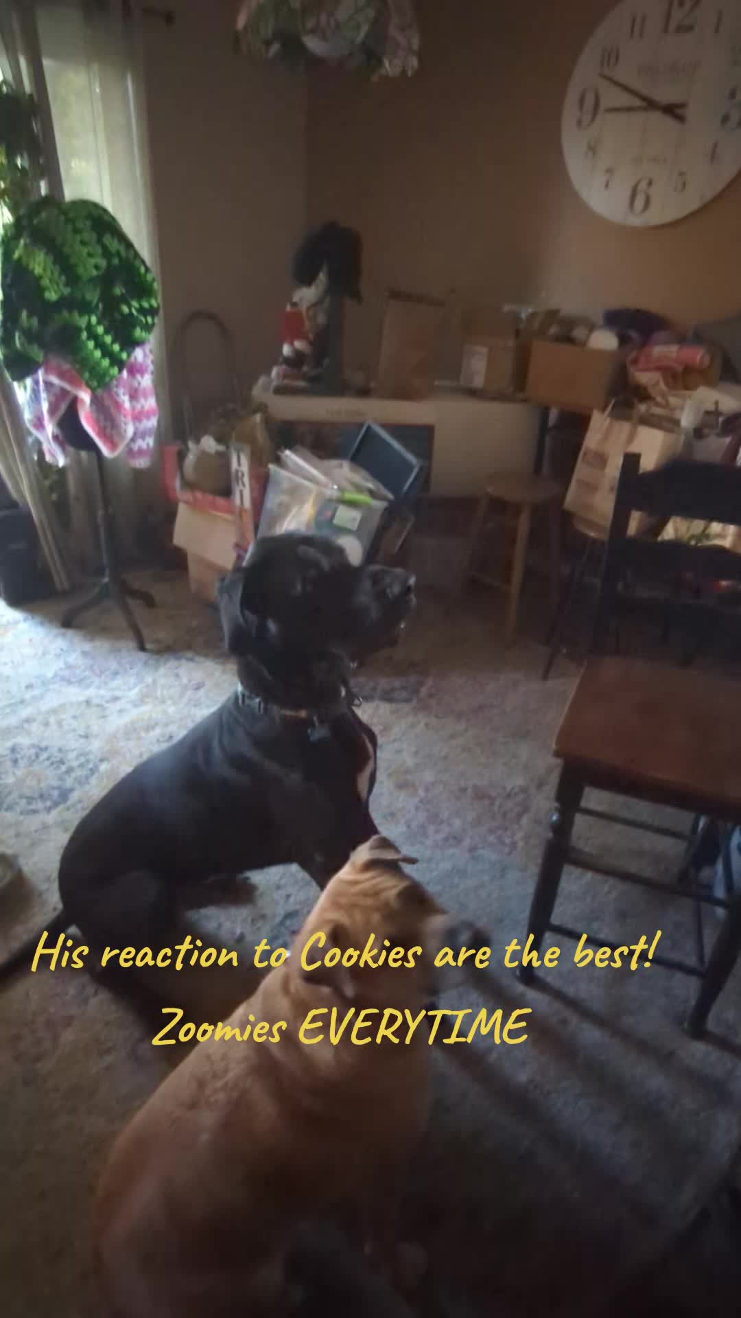 @soshempfactor