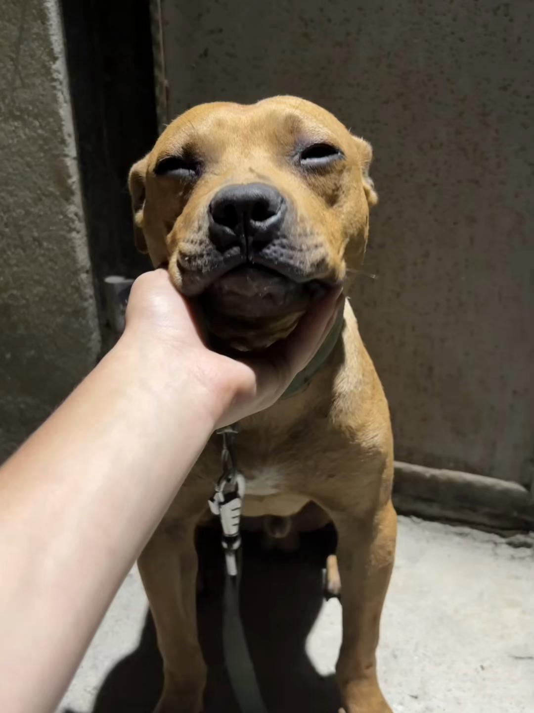 @Joker_pit8