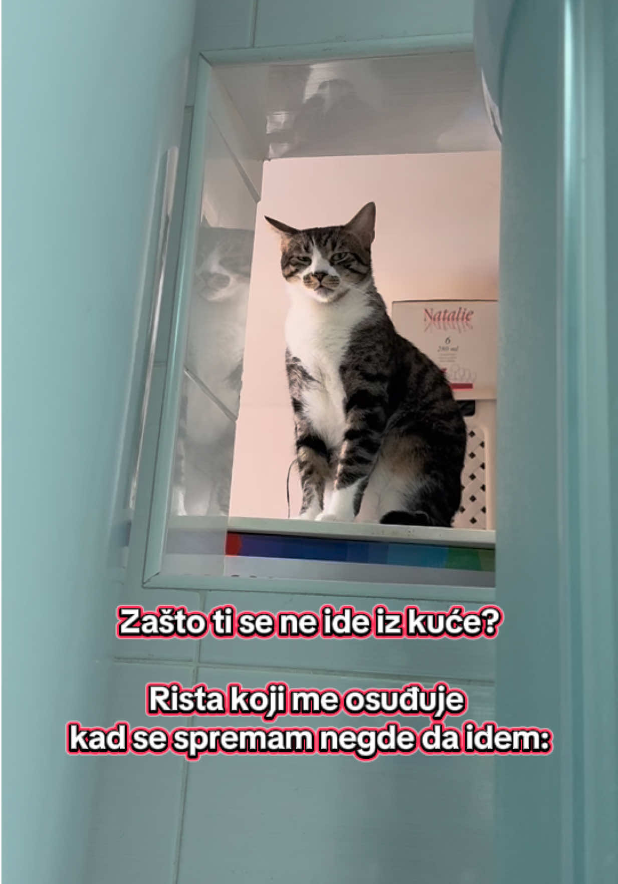 @Srećko & Rista 🐈⬛