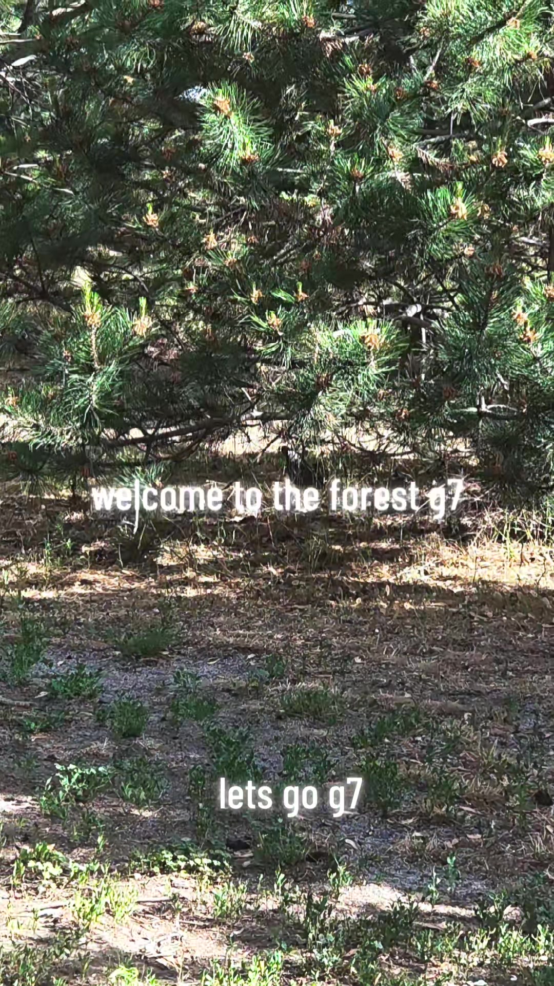 @GersonR