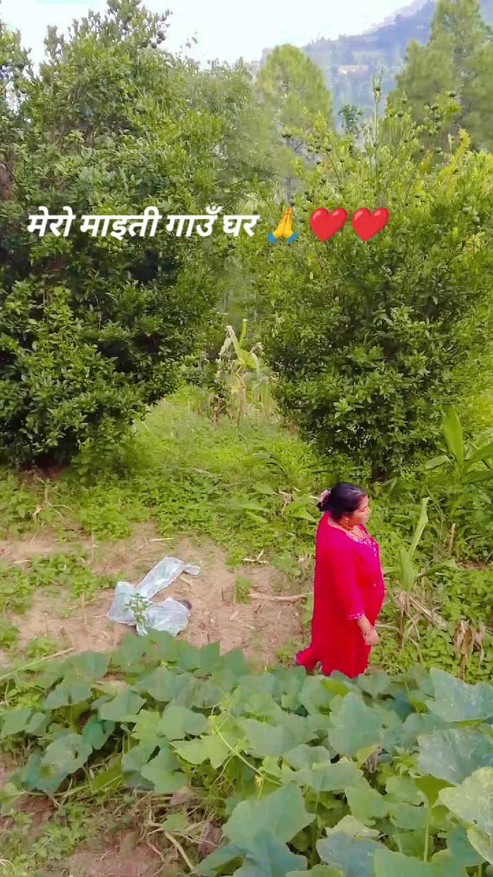 @Pushpa bishwokarma
