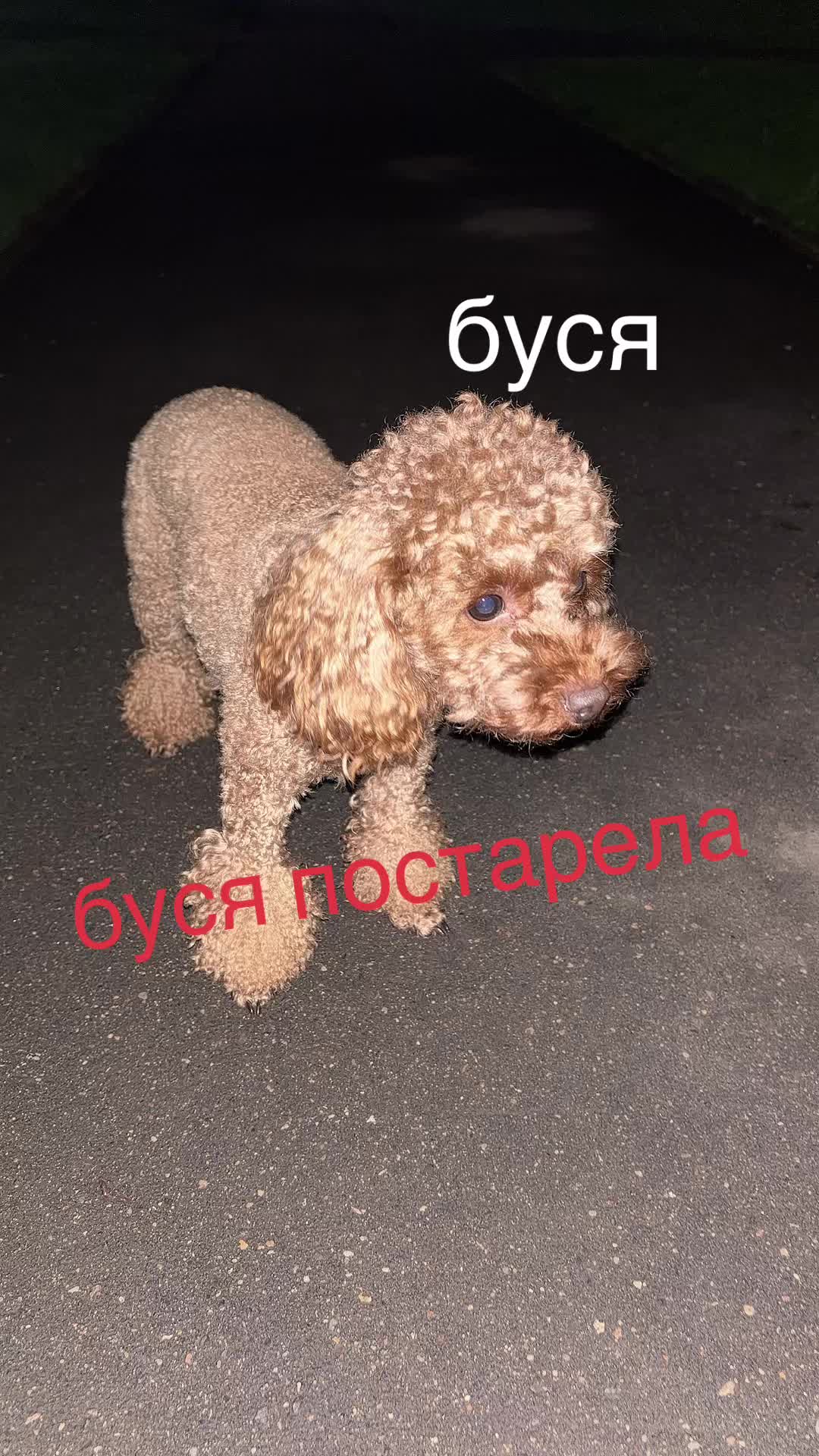 @noregrettt666