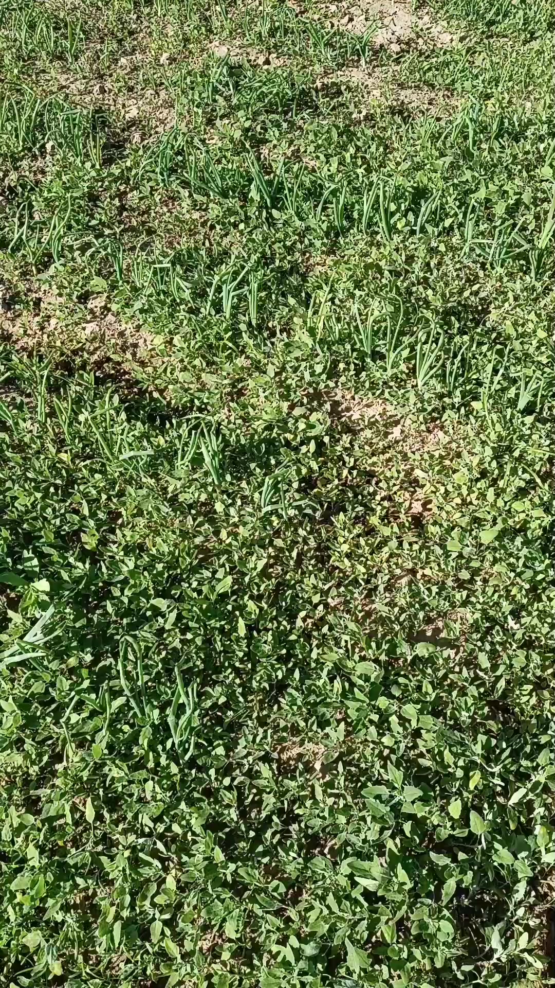 @FarmPmi