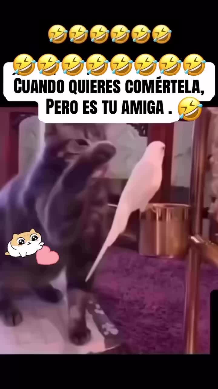 @exotik_88