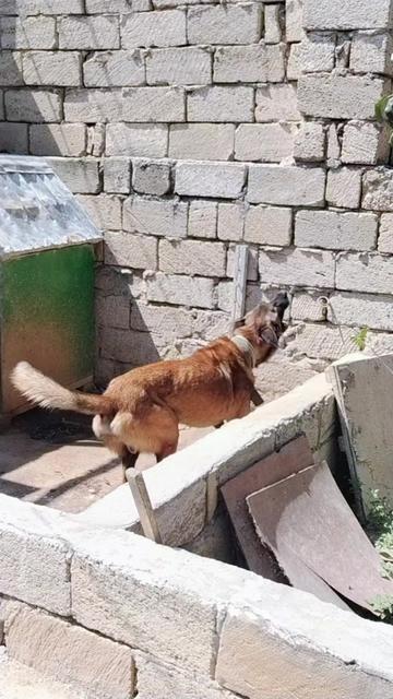 @Qarabagli qizi
