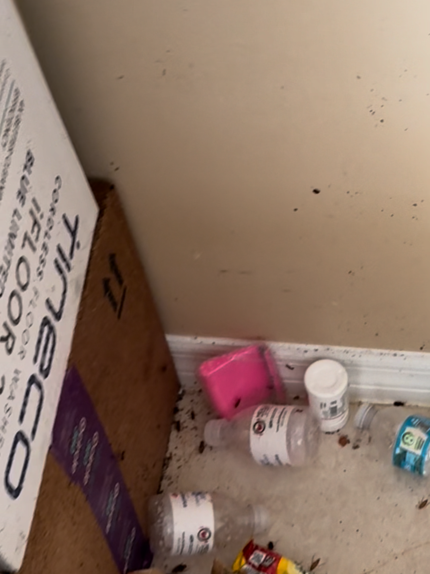 @Crime Scene Cleaning