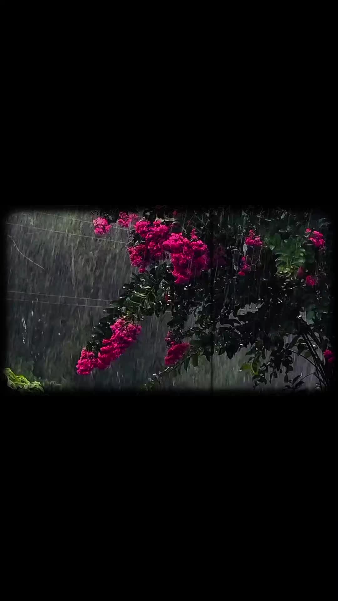 @ᰔ『रा हुल ꪝ&alpha;፝֟』ᰔ