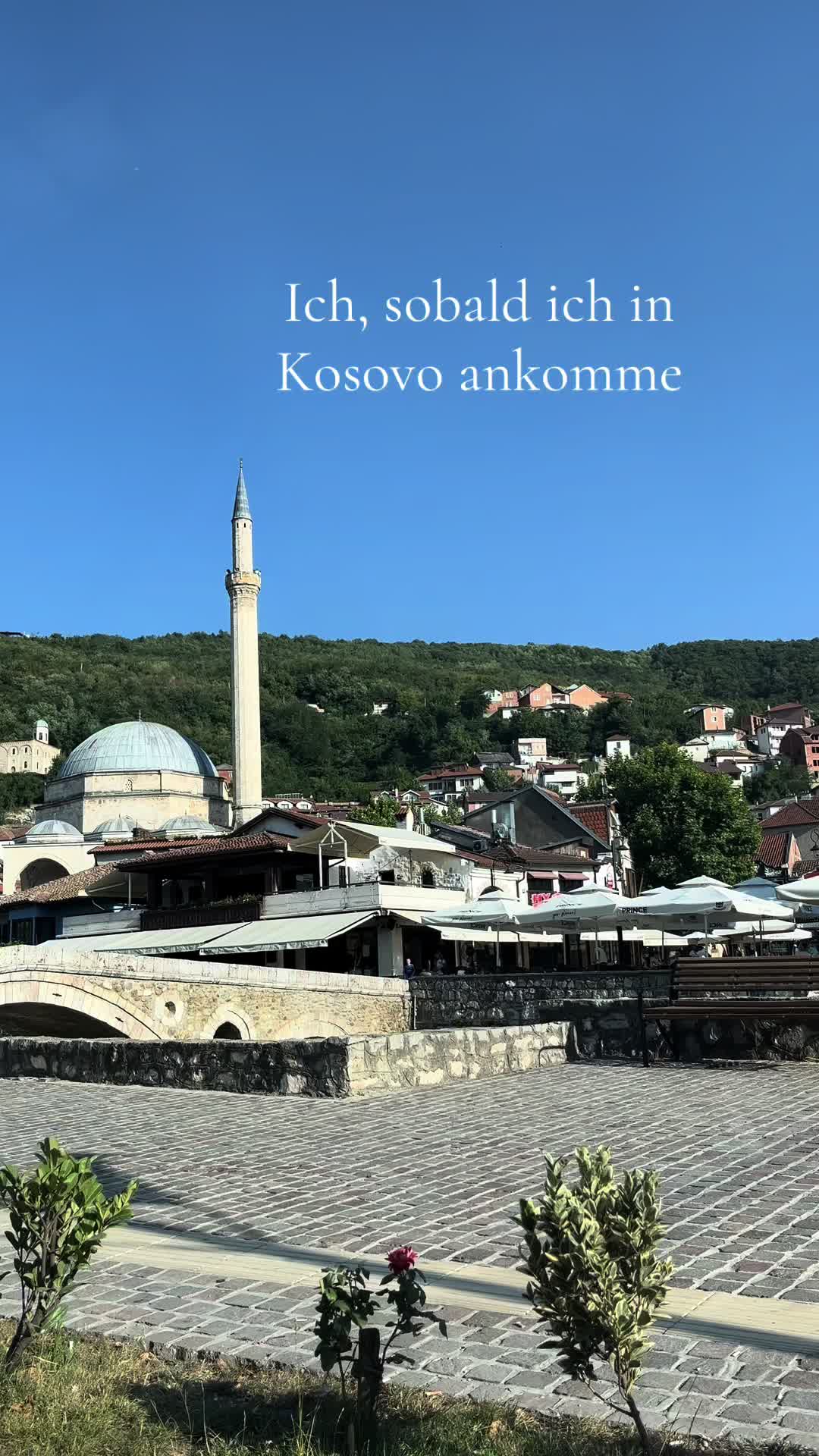 @Majda Skenderi