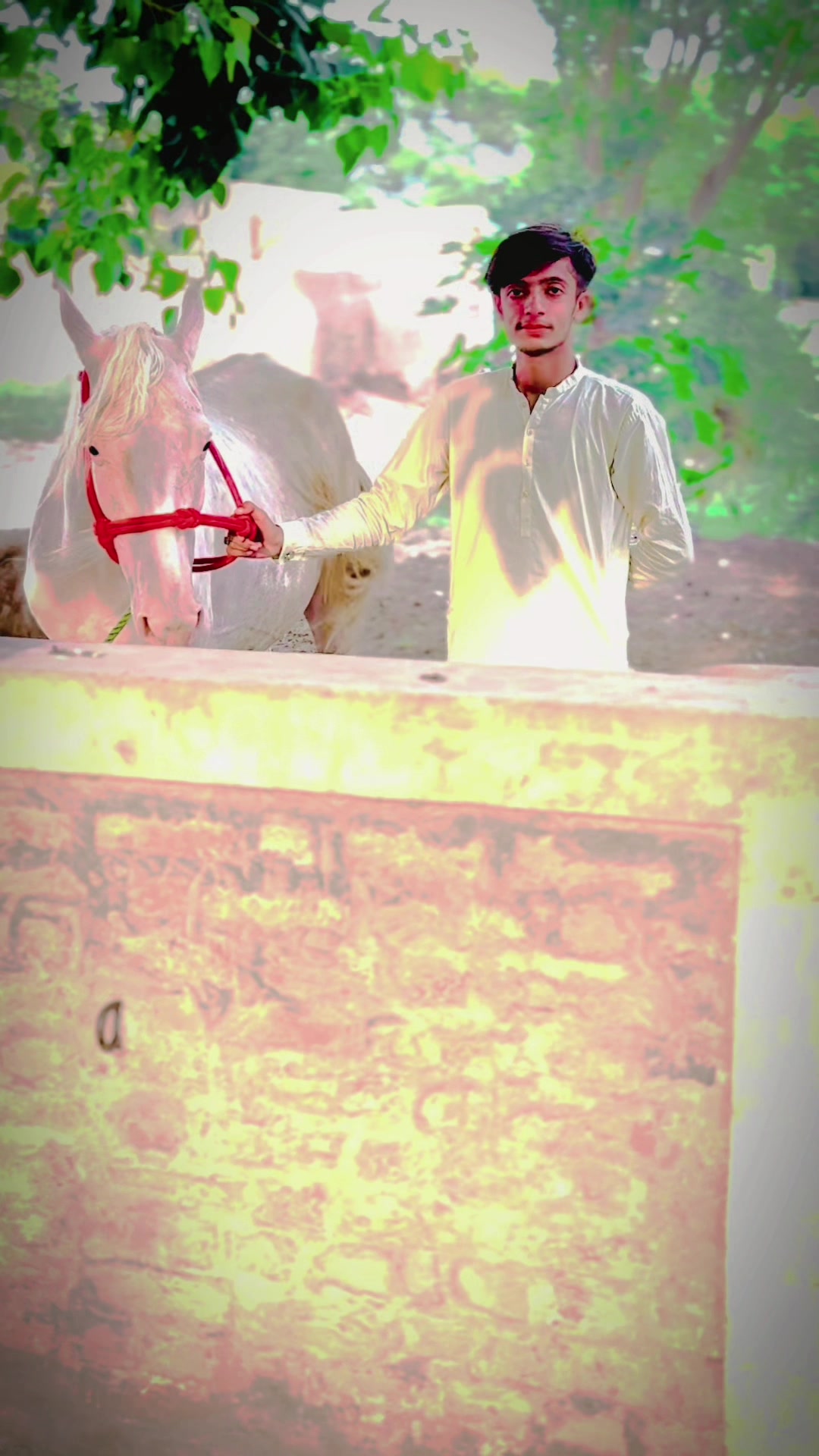 @سید محمّد عزادار حیدر شاہ🥀🖤