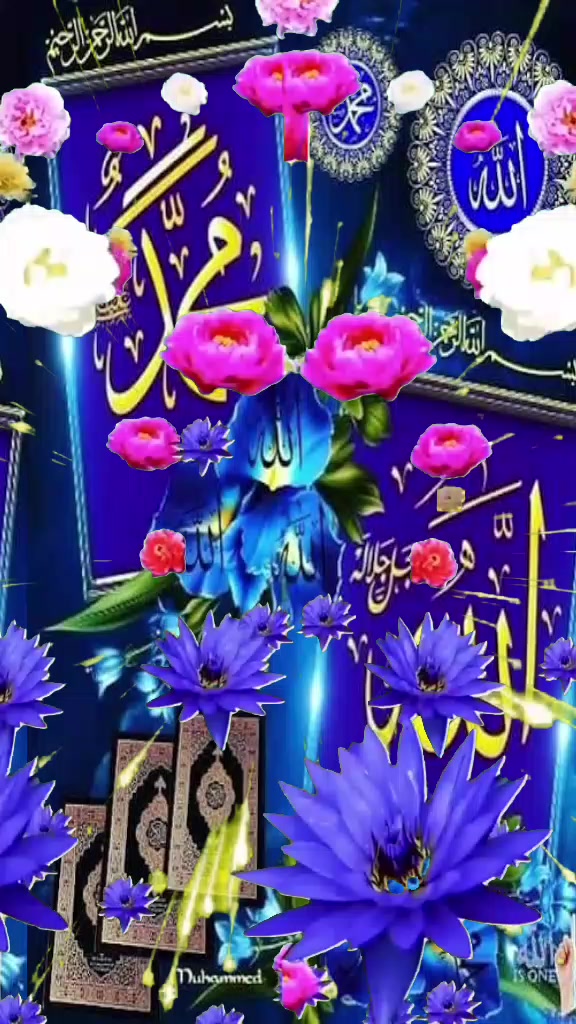@Hina Malik