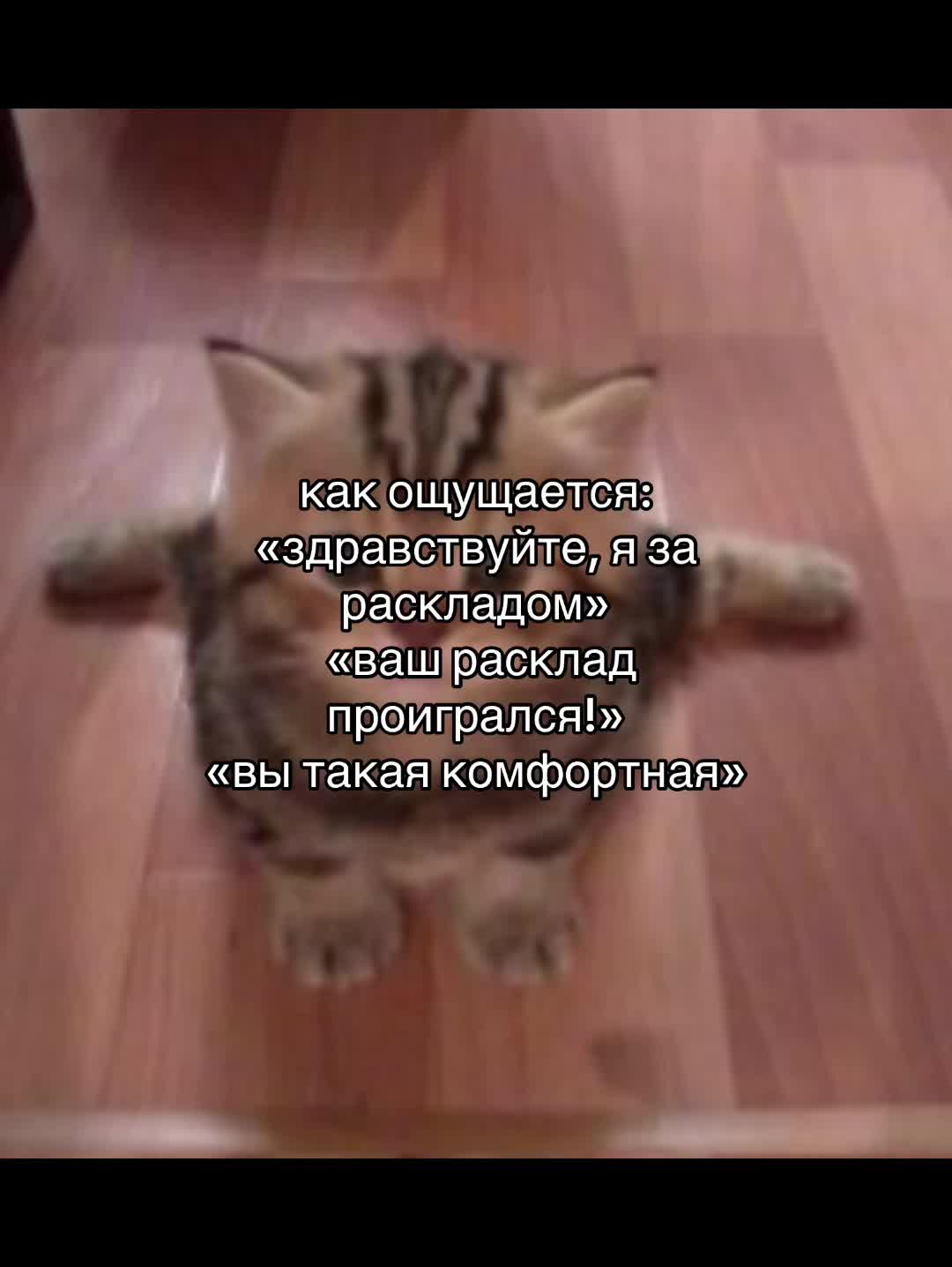 @Анна Таролог🤍