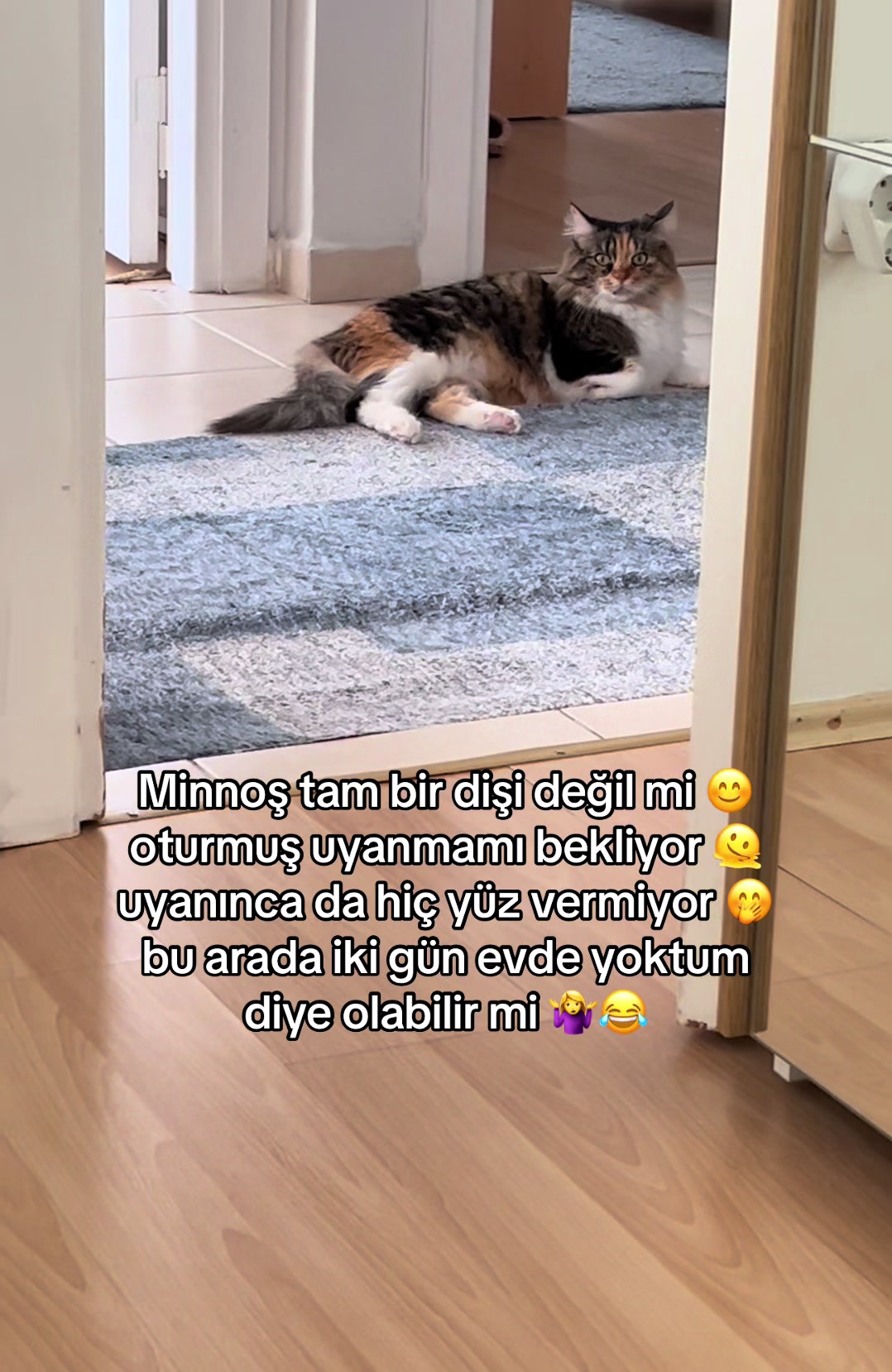 @konusankediminnos