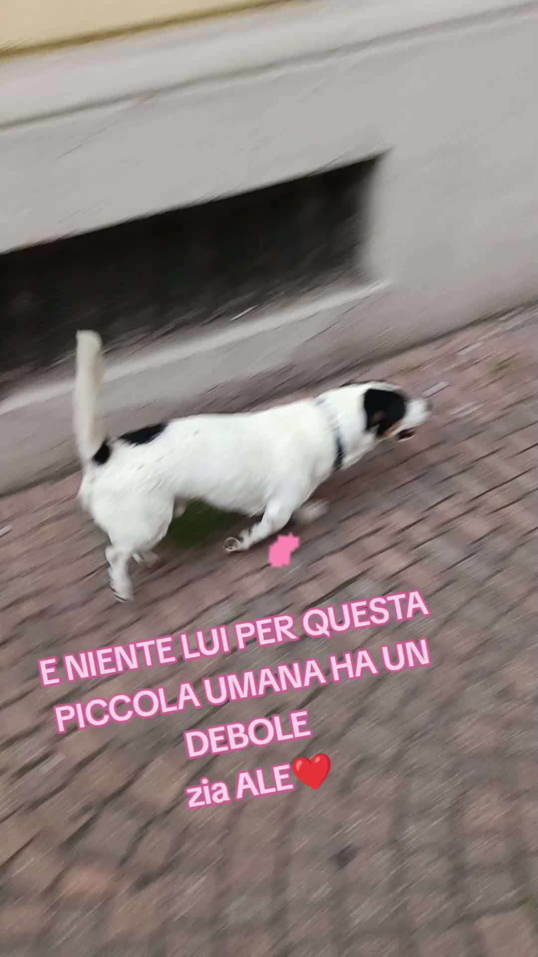 @simo♥️