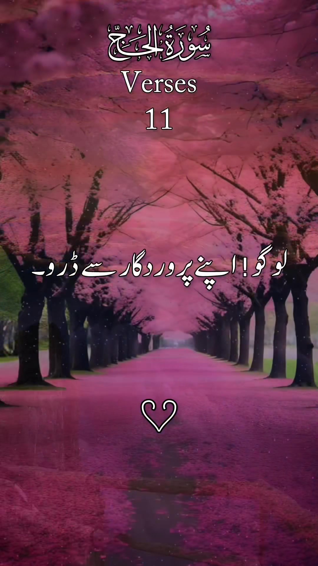 @❣️ Words of Allah ❣️