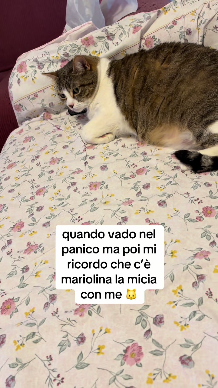 @linduz | cinema e libri 🌸💗