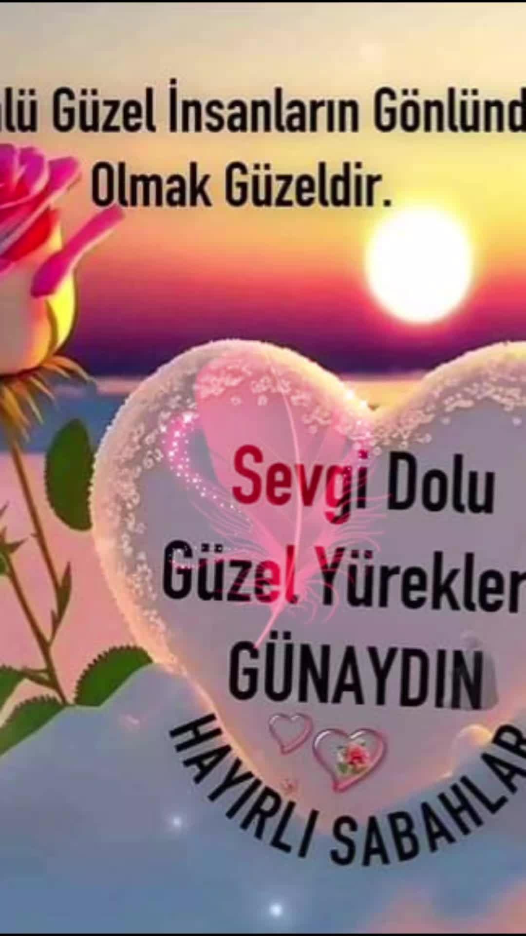 @Mehmet Sancili